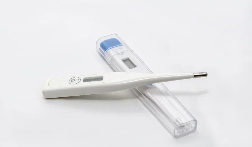 Digital thermometer