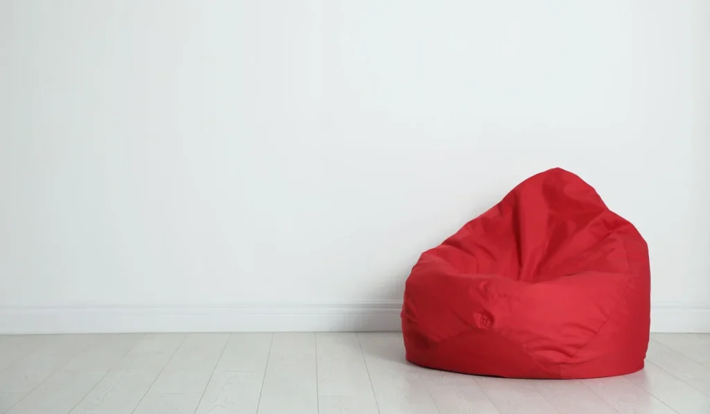 bean bag