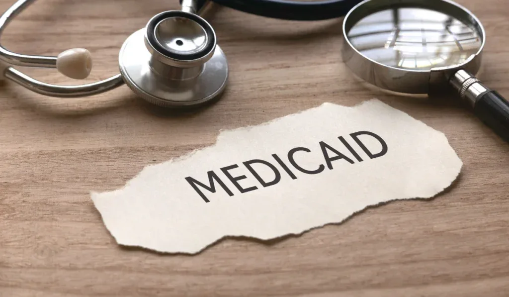 carpenter ants wood damage